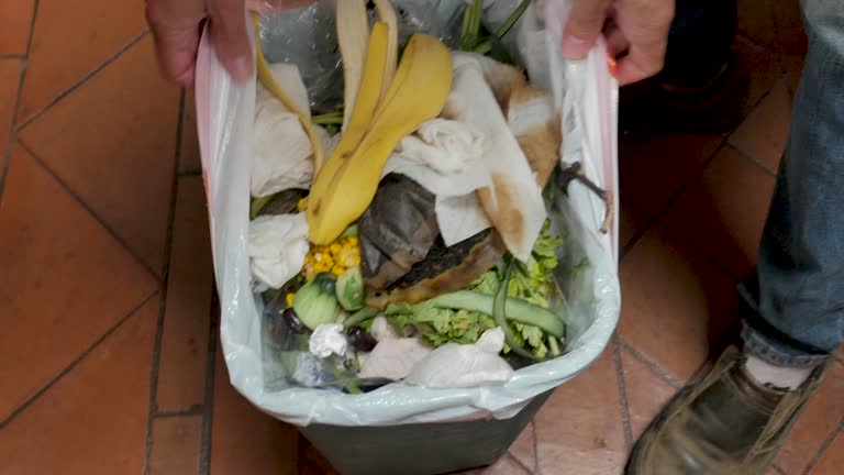 Best Recycling Services for Junk  in Owings, MD